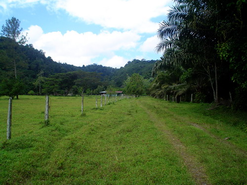 Farm For Sale Southern C.R.