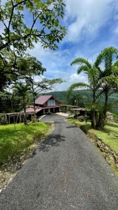 Main Home